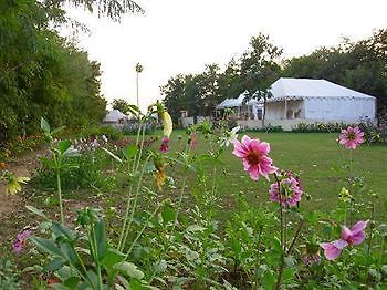 Jungle View Resort Sawai Madhopur Buitenkant foto