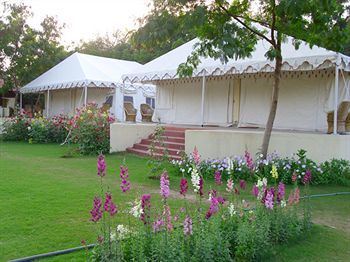 Jungle View Resort Sawai Madhopur Buitenkant foto
