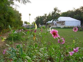 Jungle View Resort Sawai Madhopur Buitenkant foto
